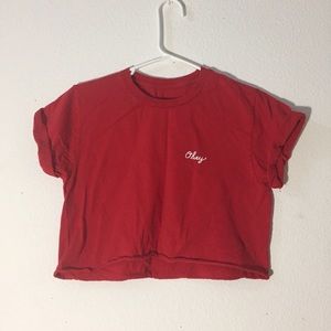 OBEY cropped tee